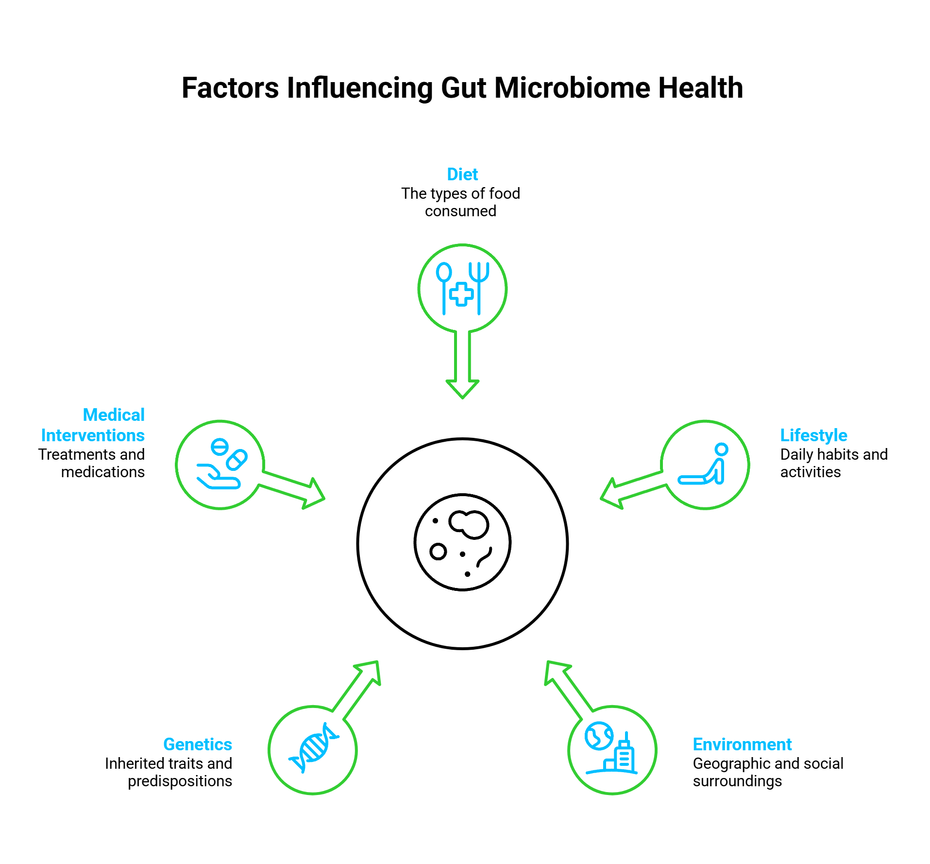 Factors Influencing Gut Microbiome Health