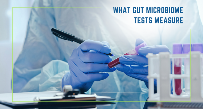 What Gut Microbiome Tests Measure