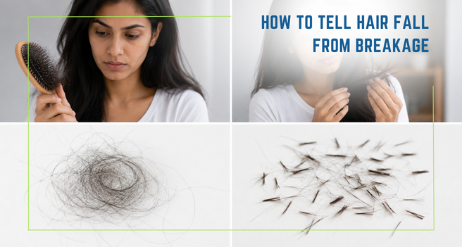 How To Tell Hair Fall From Breakage