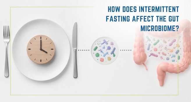 How Does Intermittent Fasting Affect the Gut Microbiome_