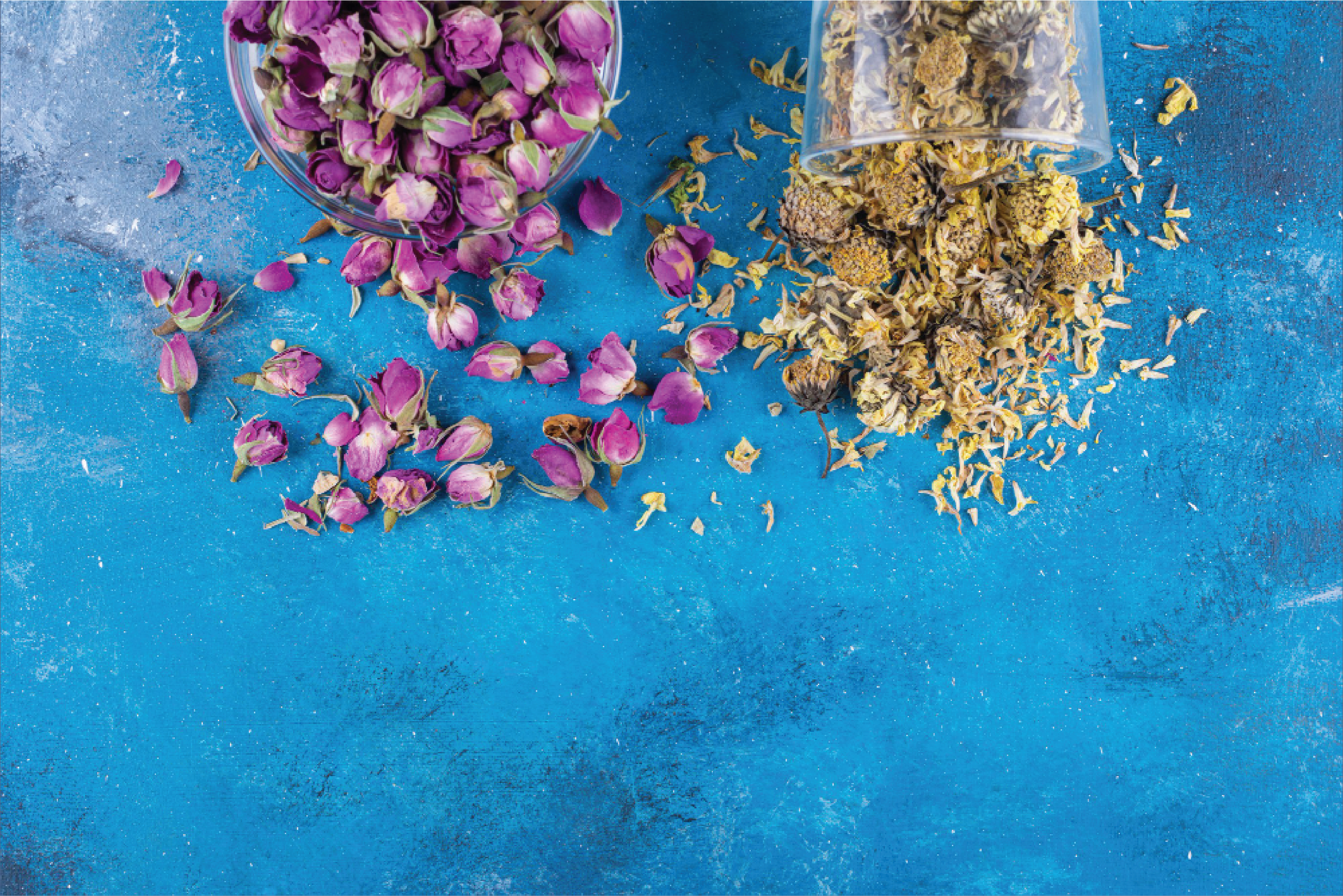 Top Herbs for Sex Drive & Energy