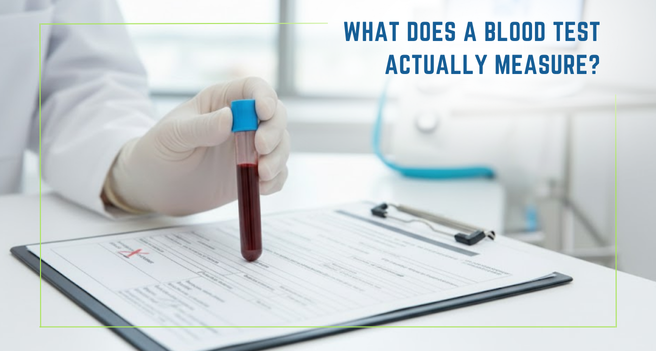 What Does a Blood Test Actually Measure?