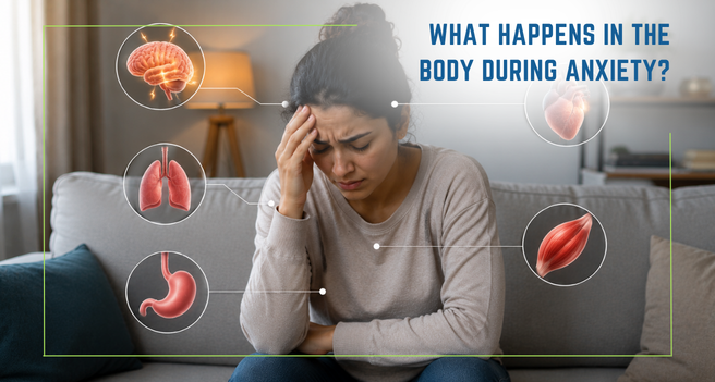 What Happens in the Body During Anxiety_