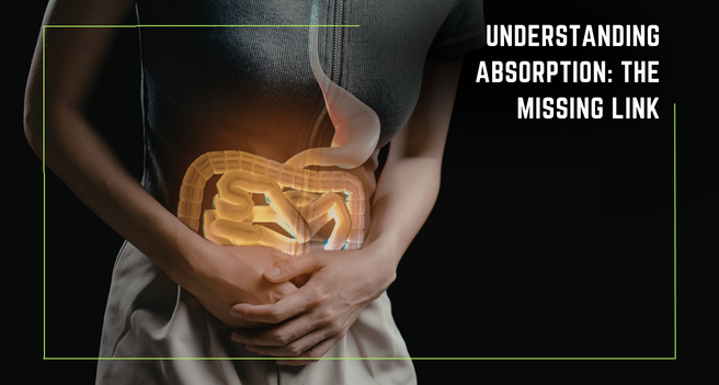 Understanding Absorption: The Missing Link