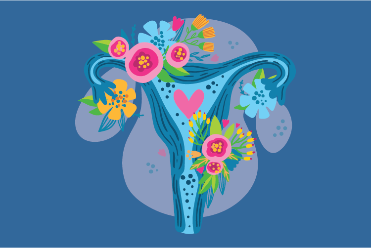 Female Sexual & Reproductive Anatomy